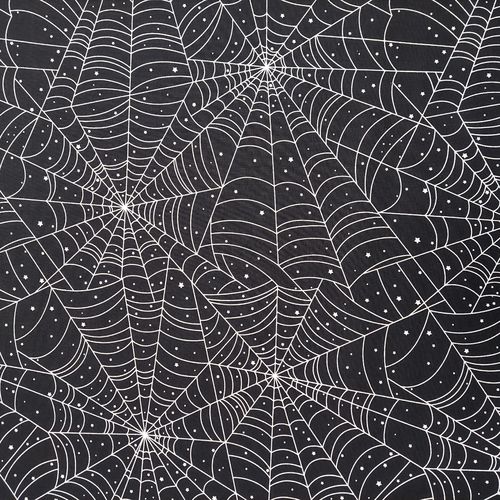 Spinnennetz schwarz weiß